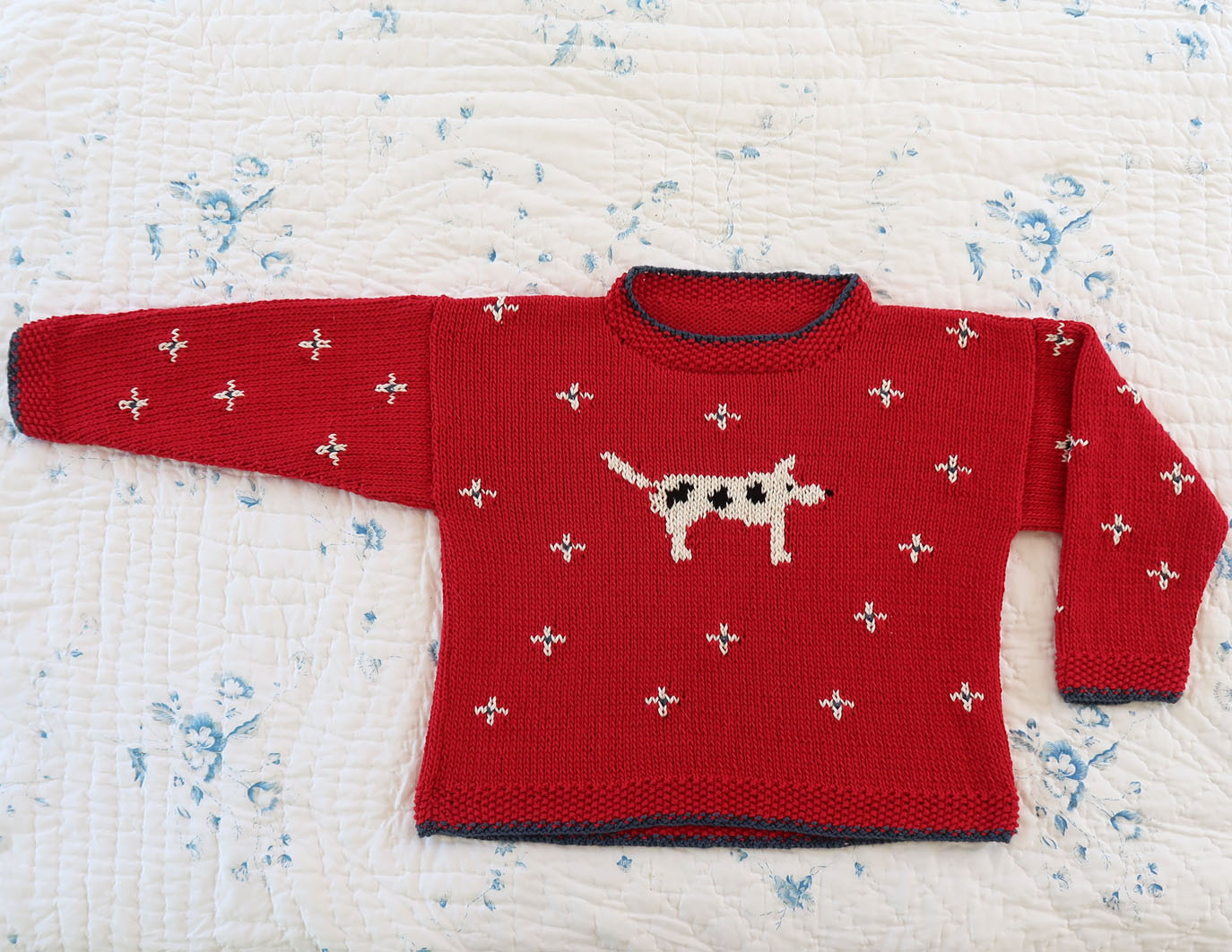 spotty dog sweater
